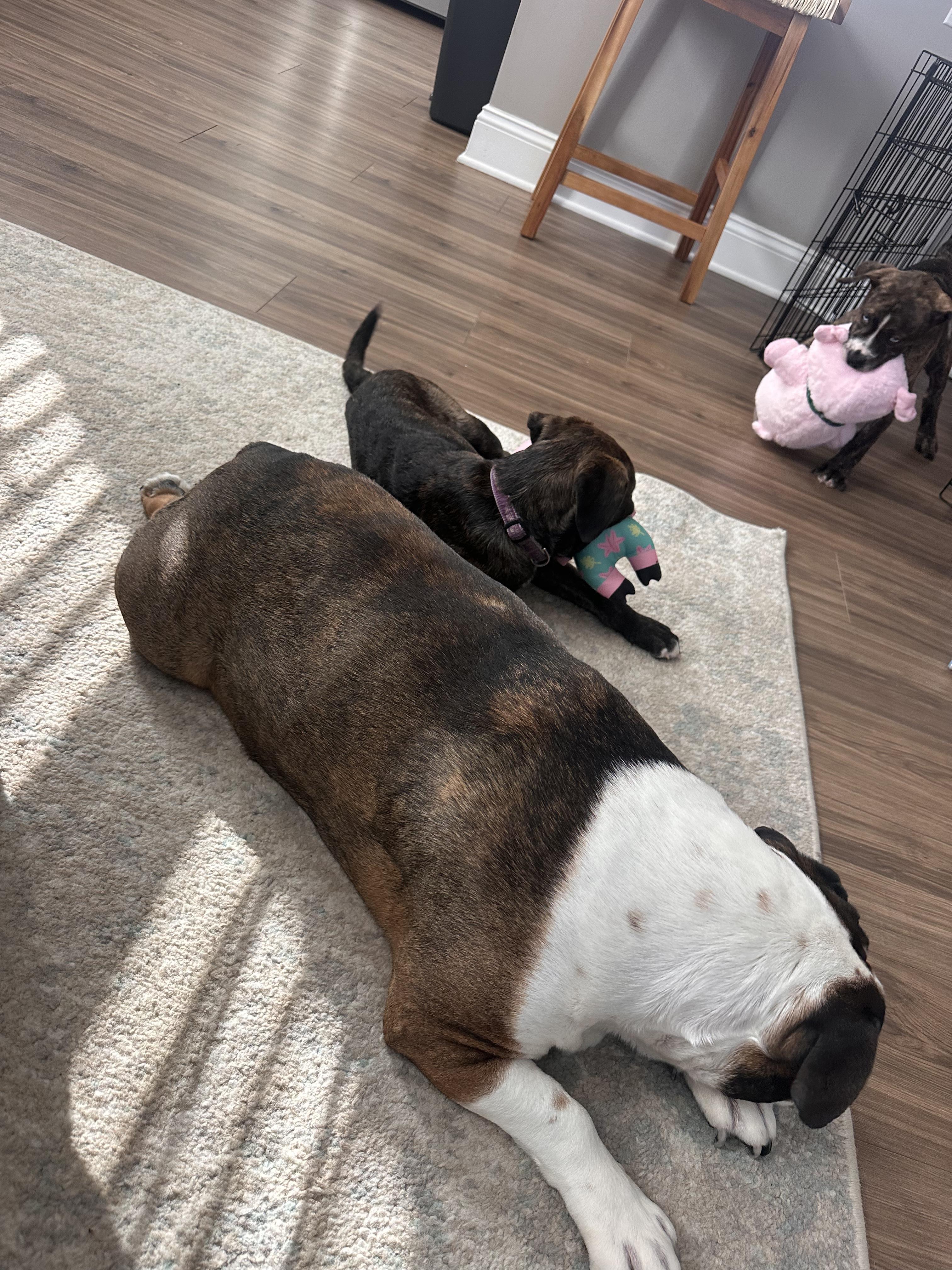 French Fry thumbnail 2