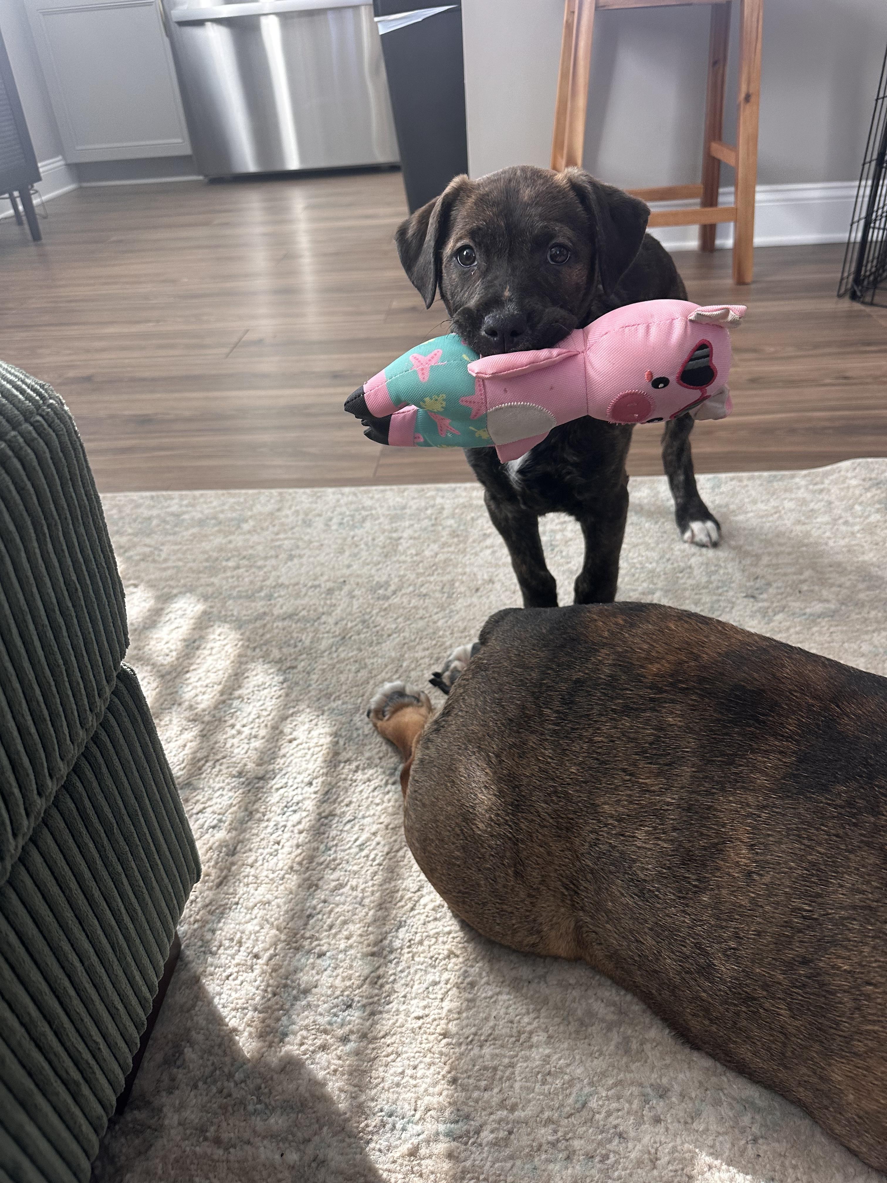 French Fry thumbnail 3