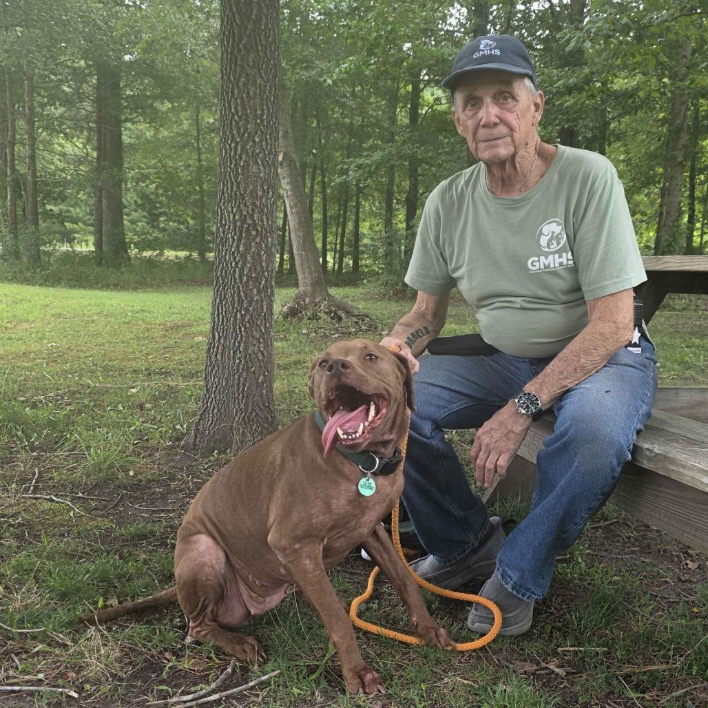 Lola Mae, Adoptable, Adult Female Mixed Breed.