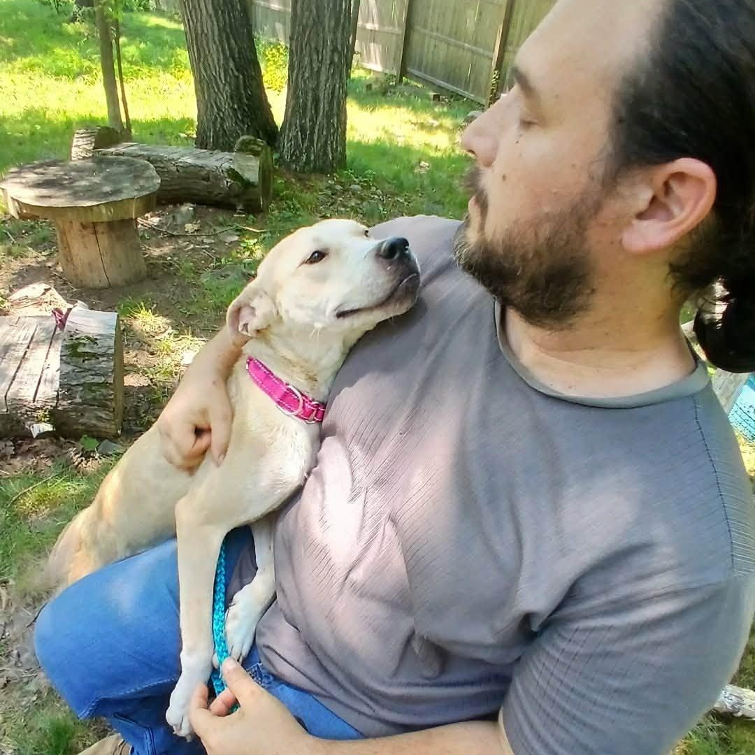 August, a ADOPTABLE Mixed Breed in Saugerties, NY image 6/6