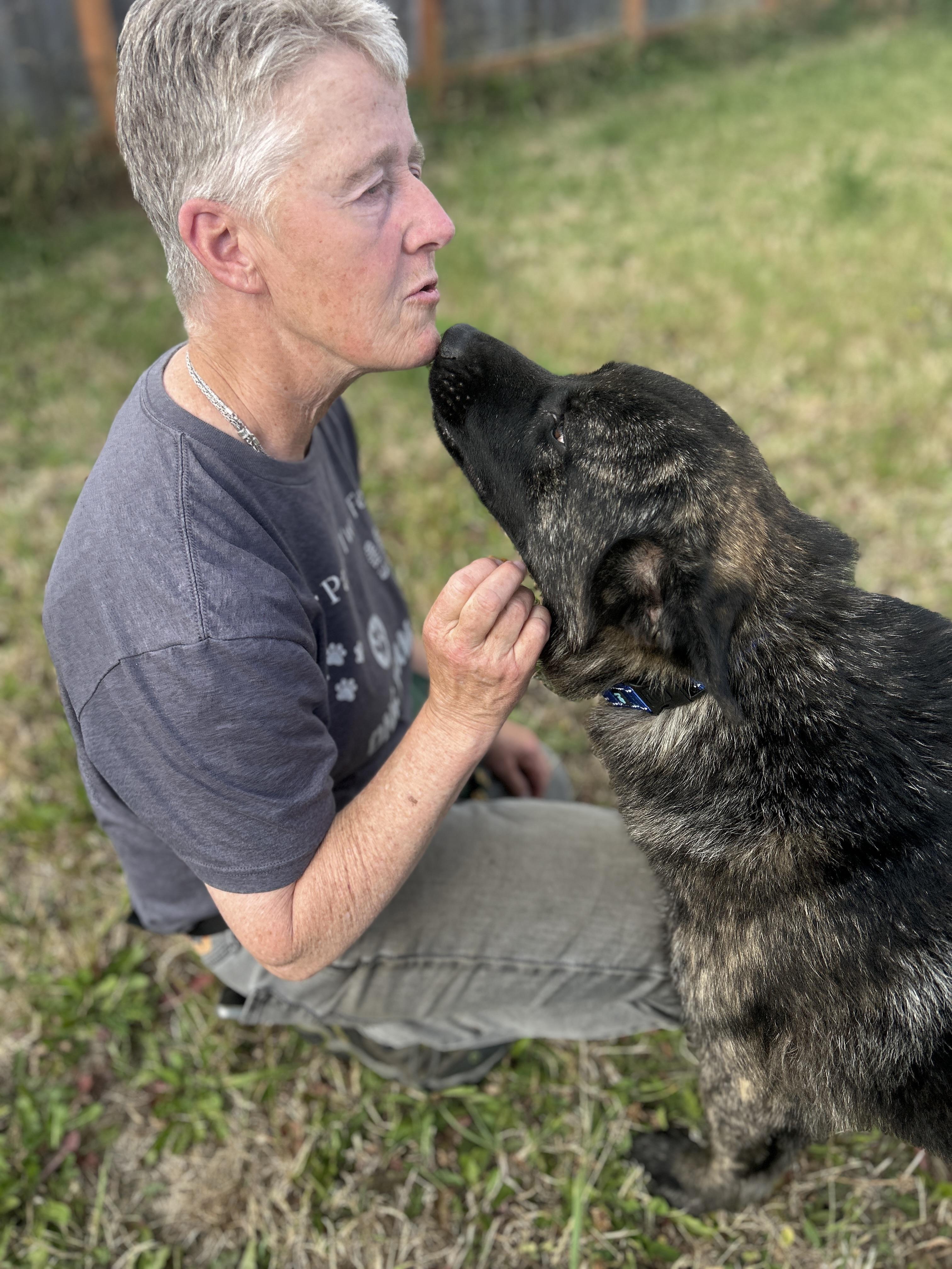 Enlarge James, a Adoptable mixed breed in Port Angeles, WA image 3/6