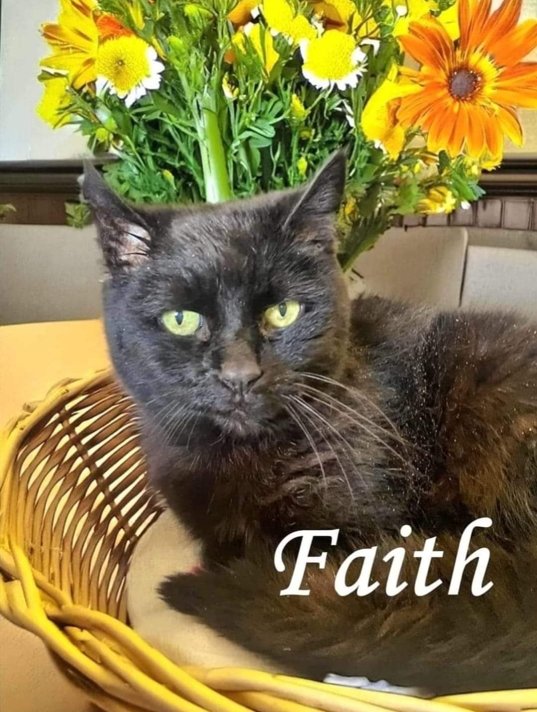 Faith