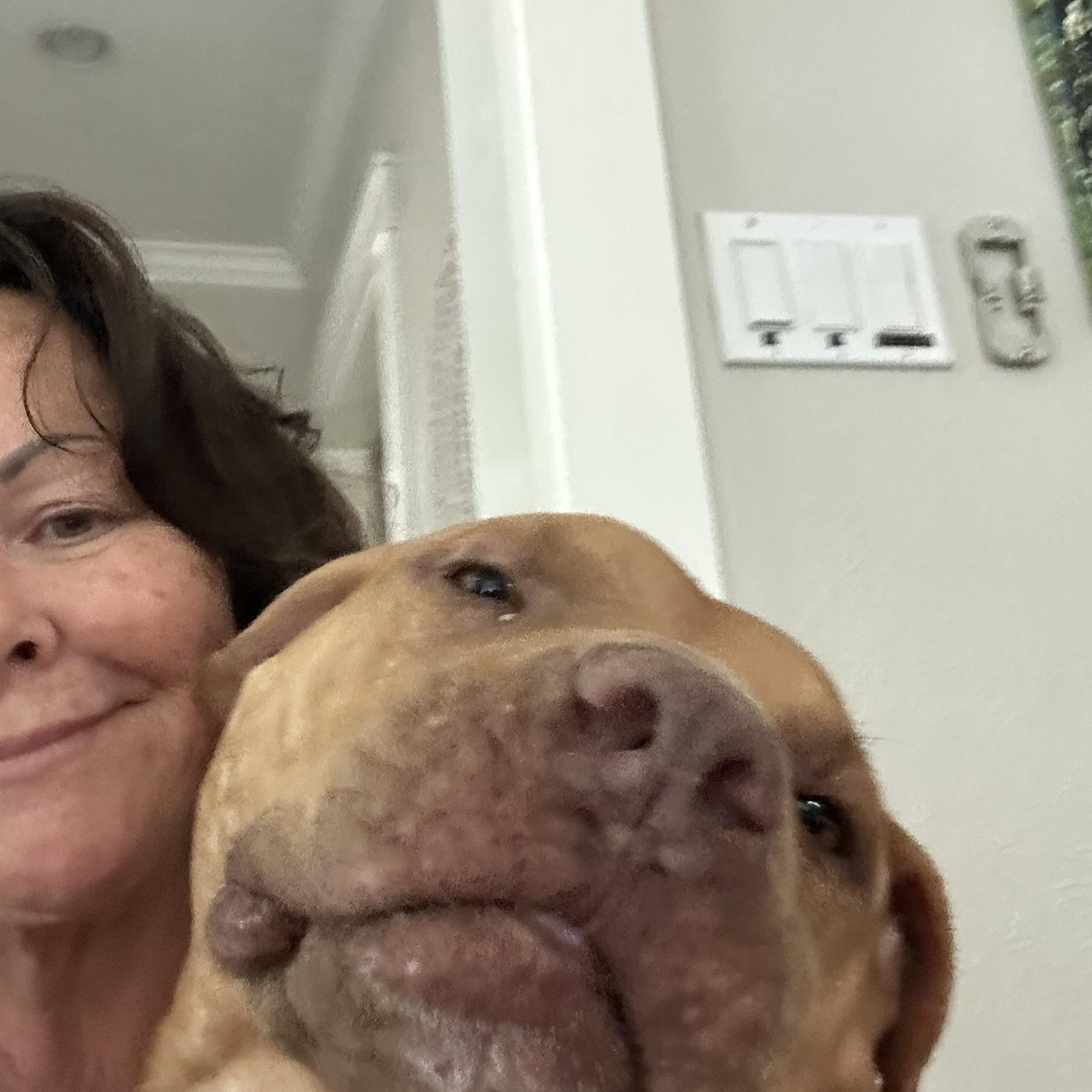 Prescott — thumbnail 4