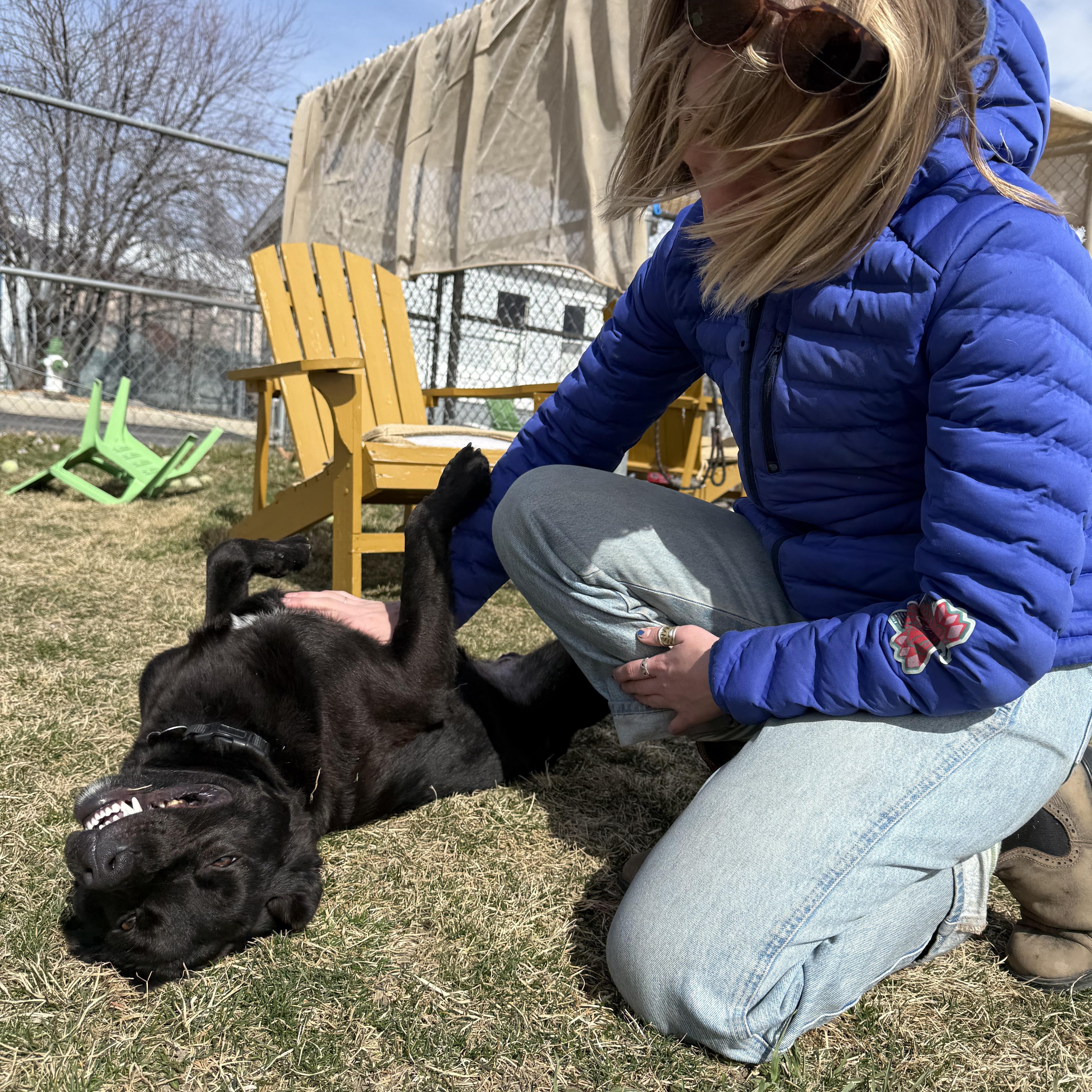Enlarge Dugley, a ADOPTABLE mixed breed in Prineville, OR image 4/6