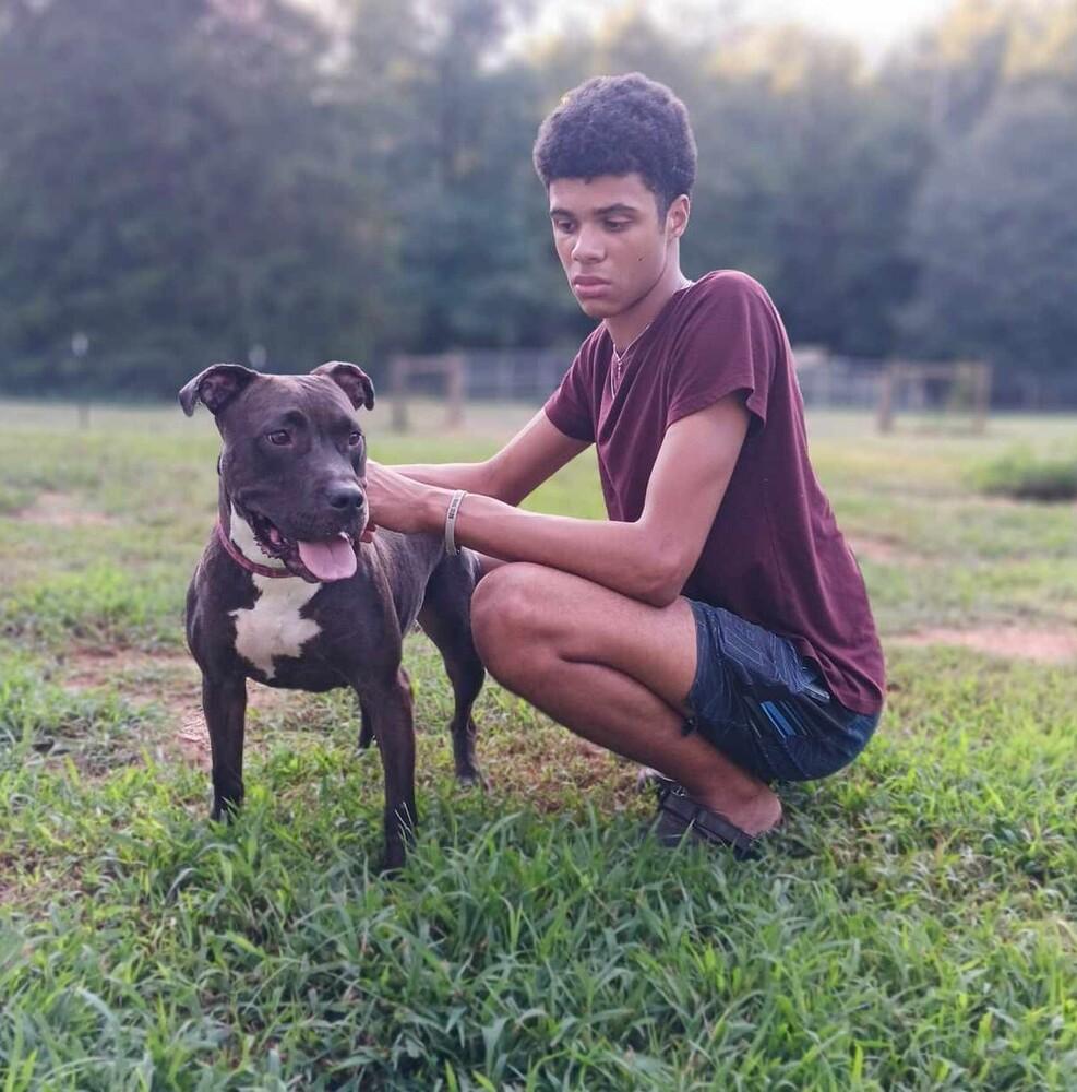 Enlarge Luce, a Adoptable mixed breed in Gillsville, GA image 4/6