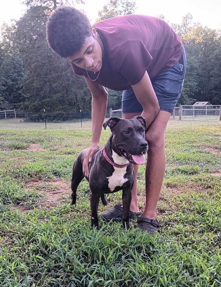 Enlarge Luce, a Adoptable mixed breed in Gillsville, GA image 6/6