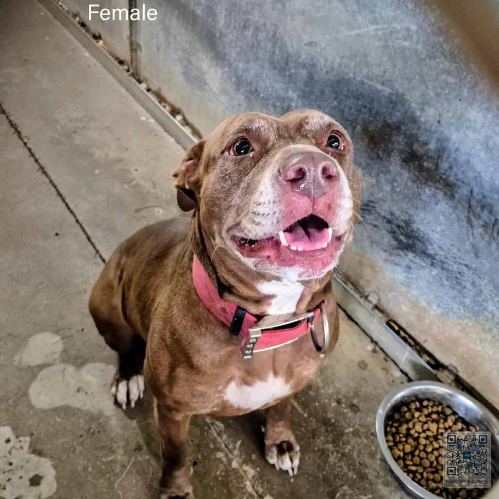 Trinity — thumbnail 2