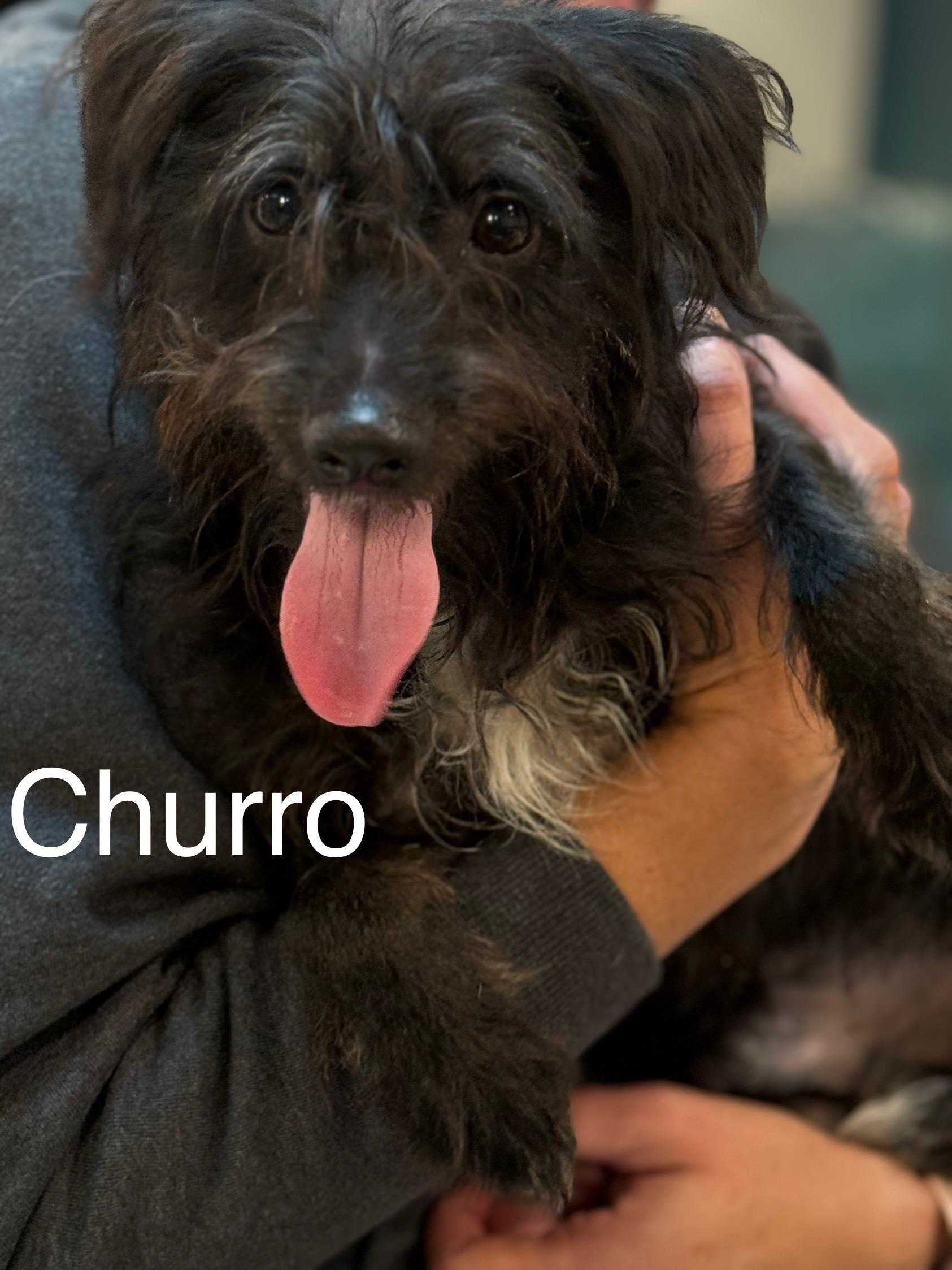 Churro thumbnail 7
