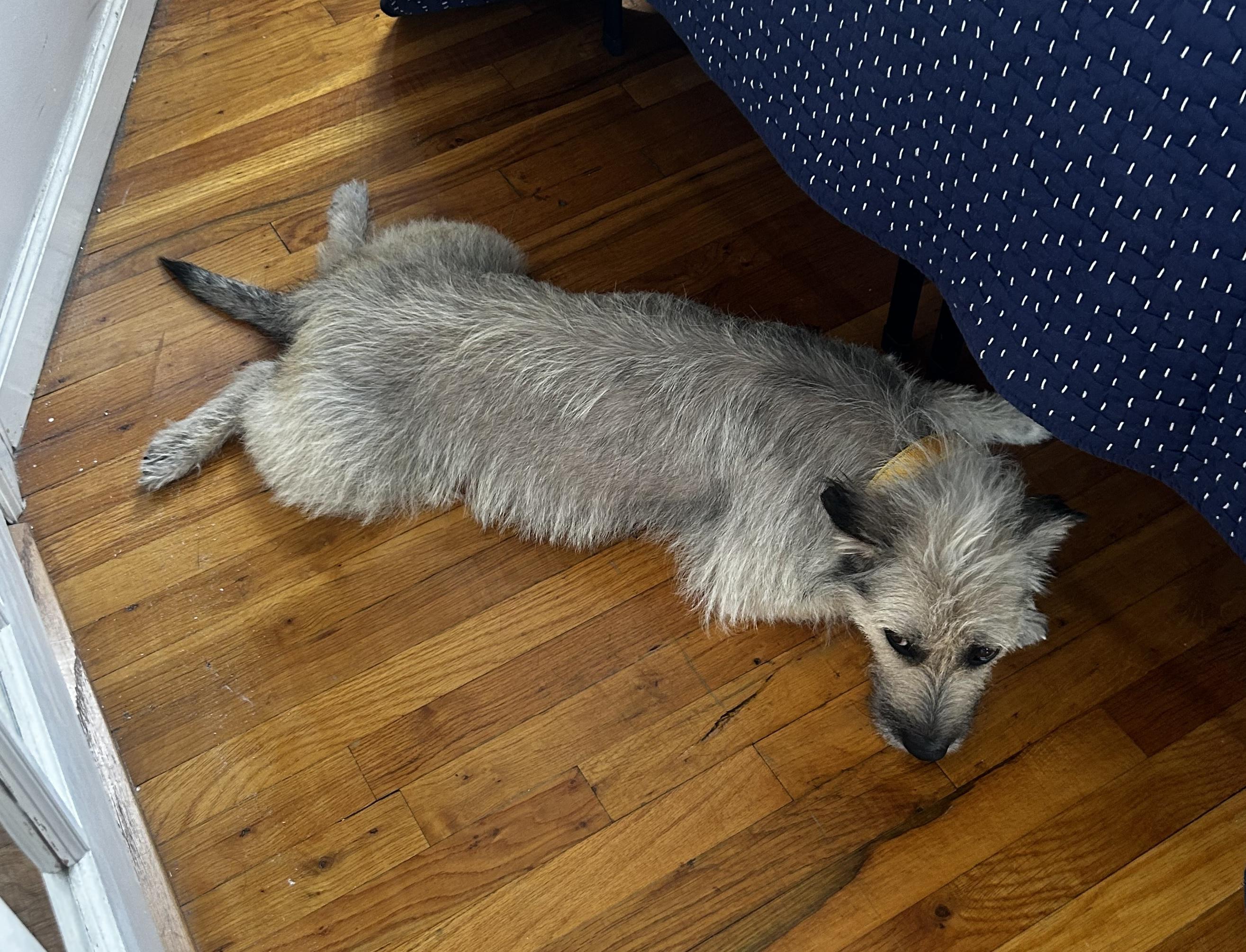Coco