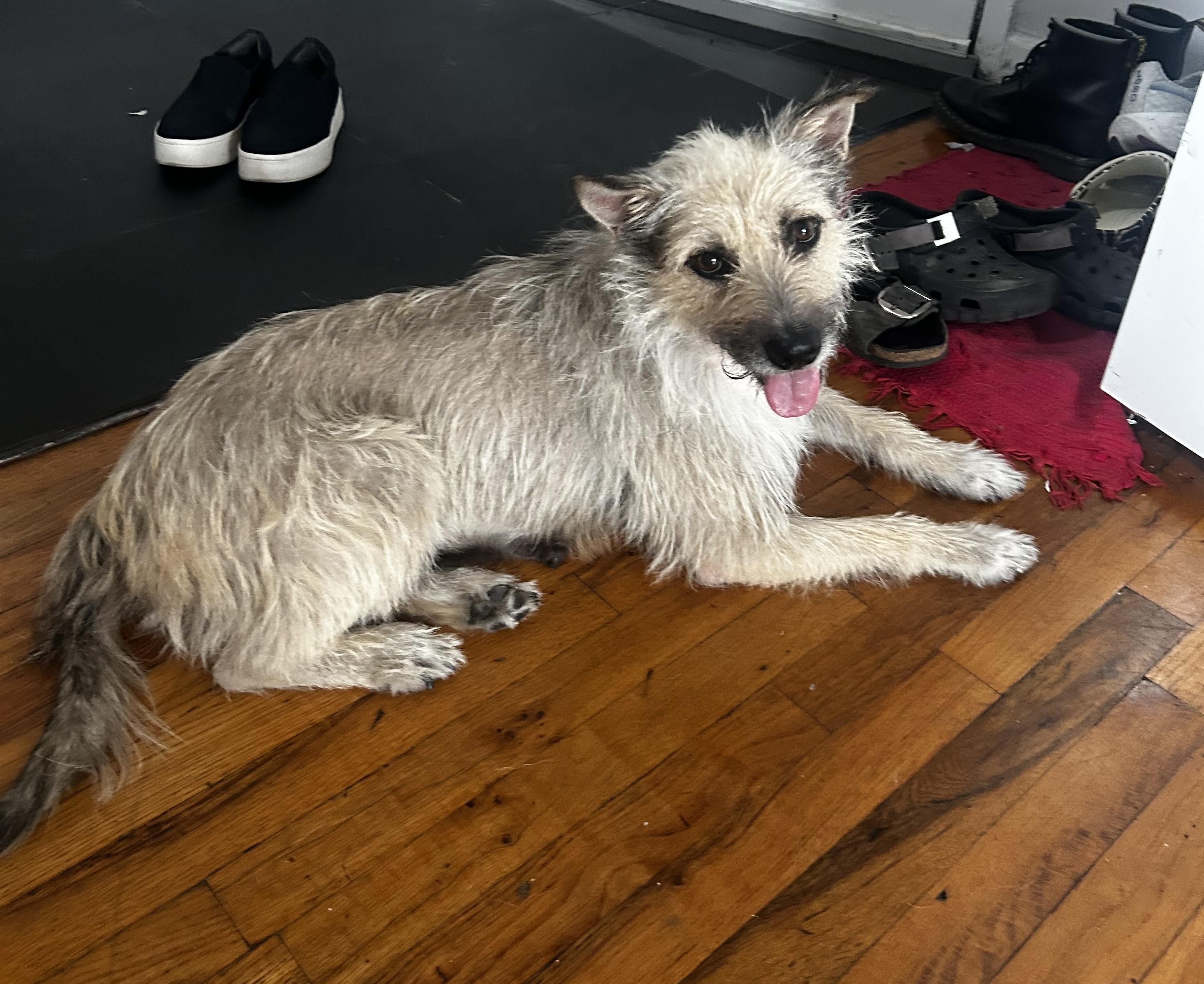 Coco