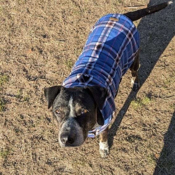 Jelly — thumbnail 5