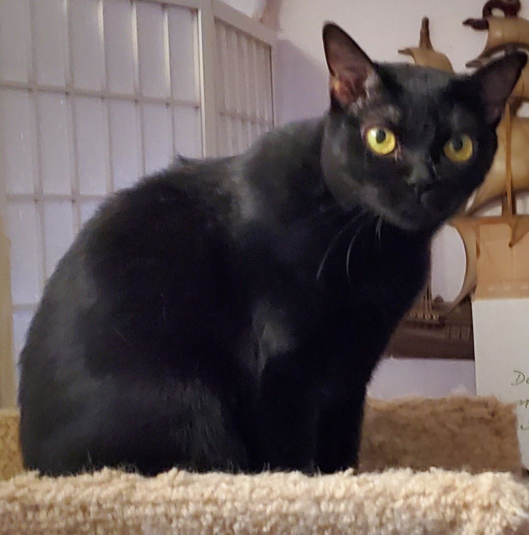 Sabrina thumbnail 2