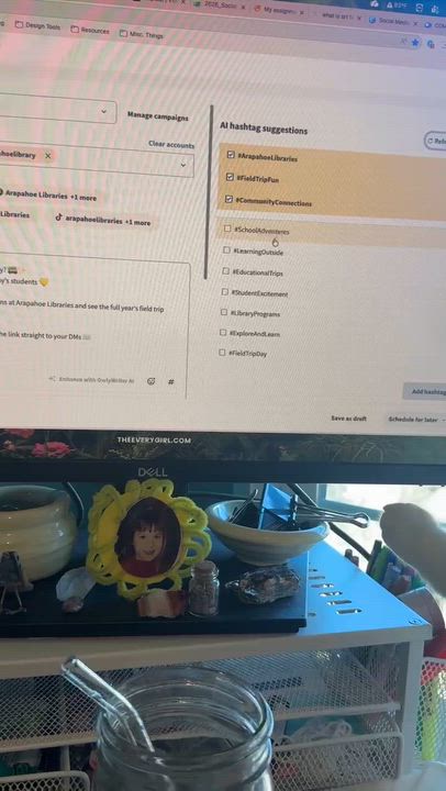 Enlarge Striker Doyle, a Adoptable Domestic Short Hair in Denver, CO video 6/6