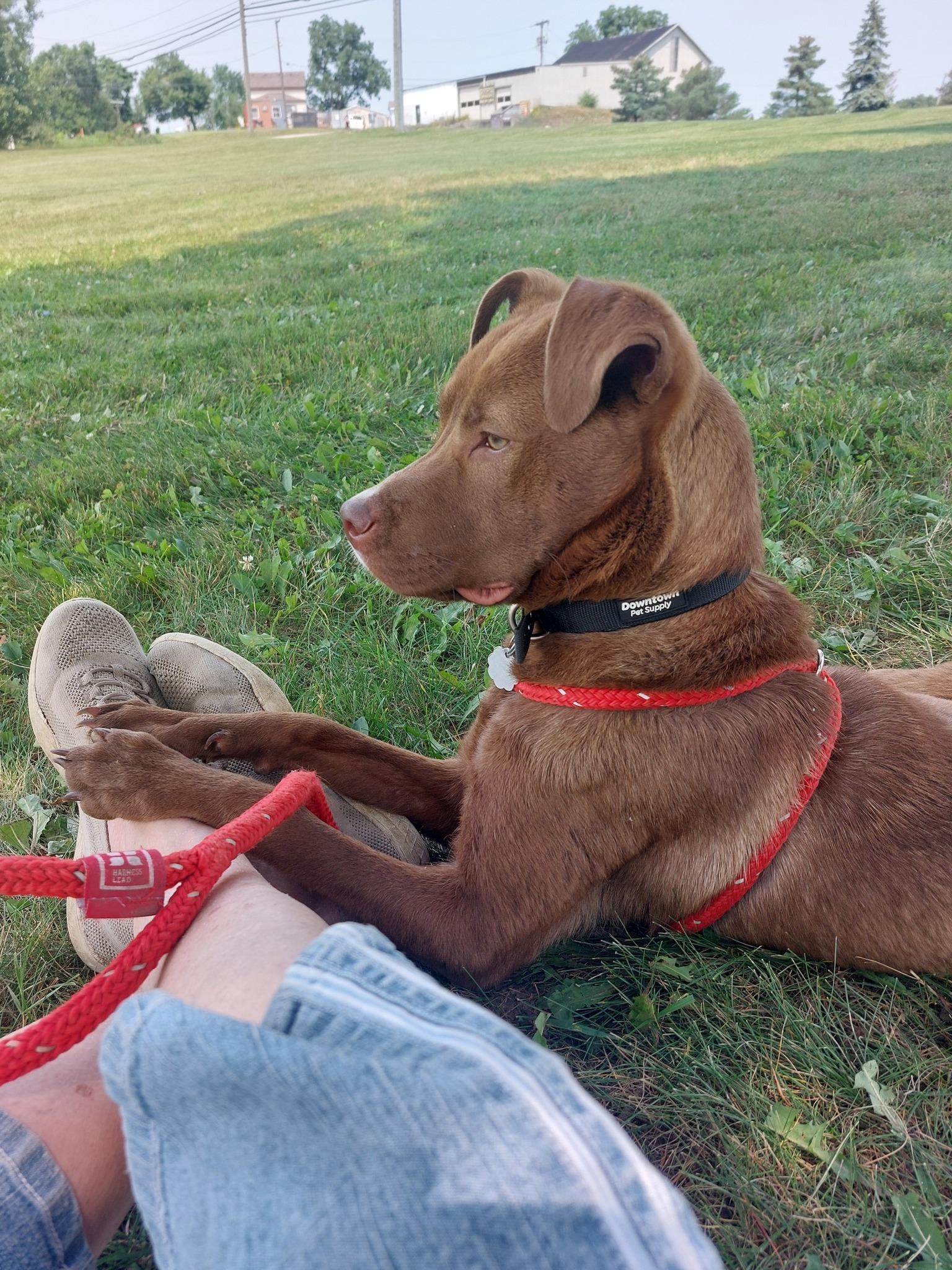 Samantha