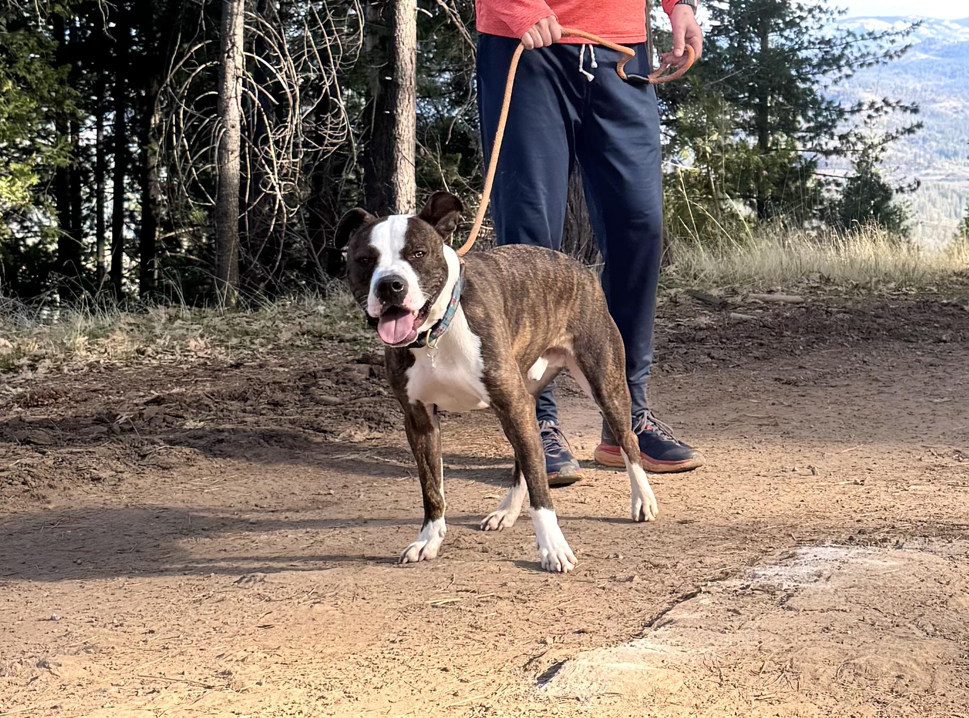 Rip 0125 — thumbnail 2