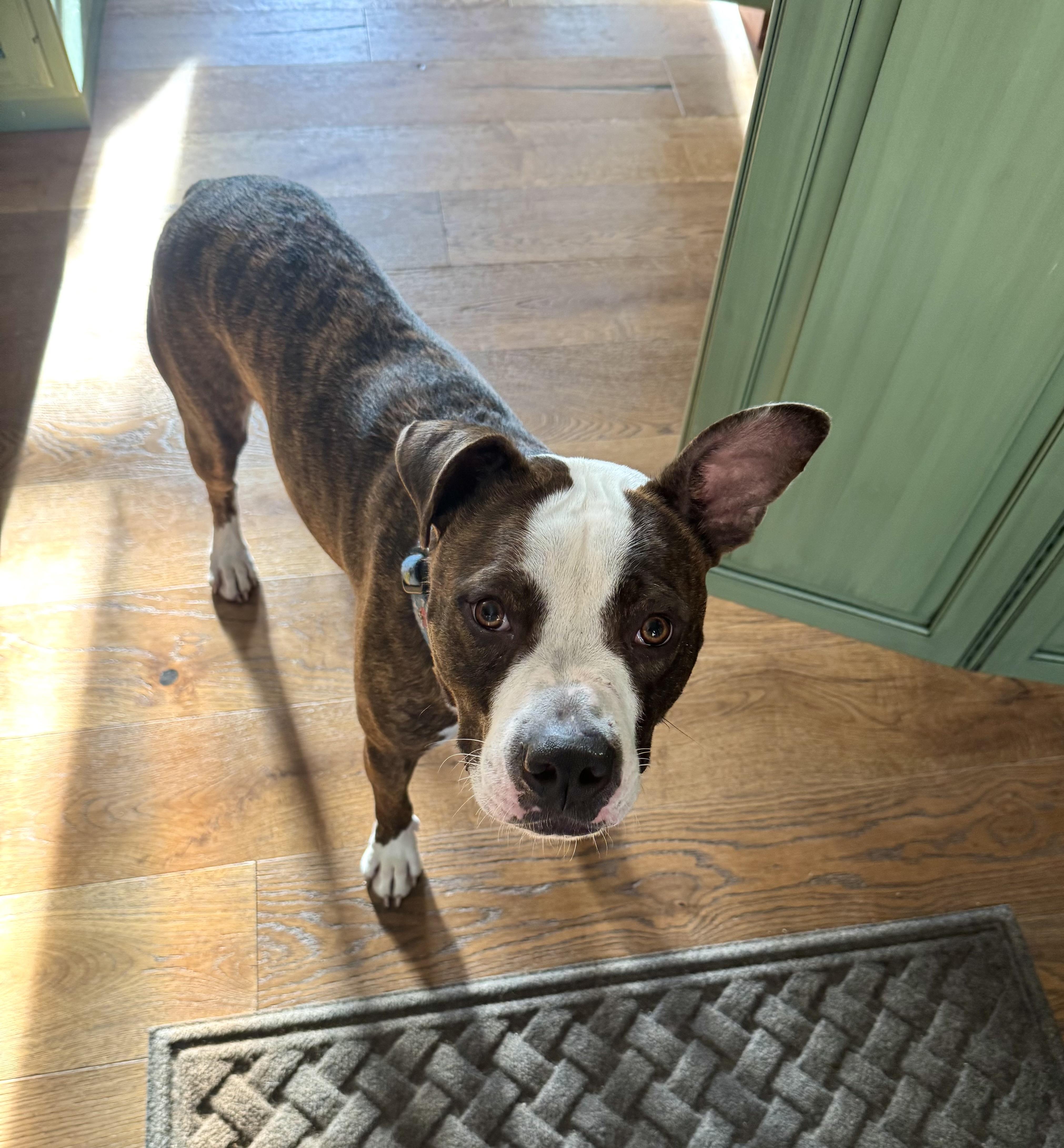 Rip 0125 — thumbnail 4