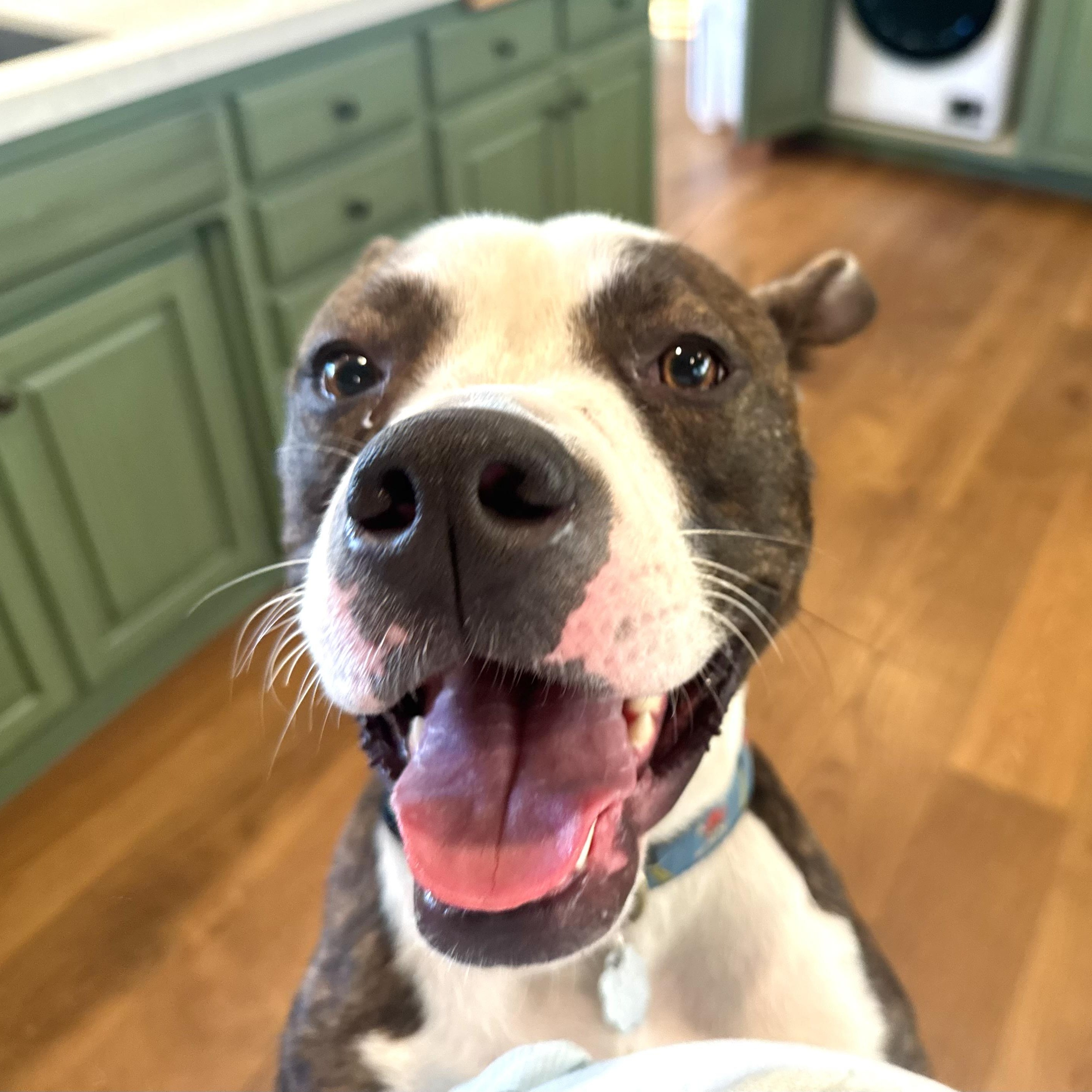 Rip 0125 — thumbnail 6