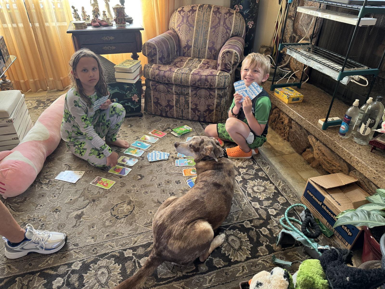 Kishi, a Adoptable Australian Cattle Dog / Blue Heeler in Salt Lake City, UT image 3/3