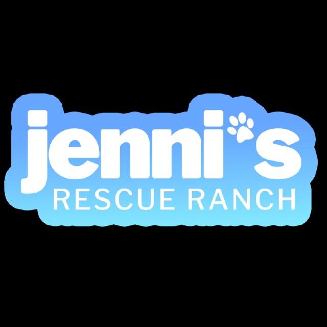 Enlarge Adoption Event, a Adoptable mixed breed in Alvin, TX image 1/1