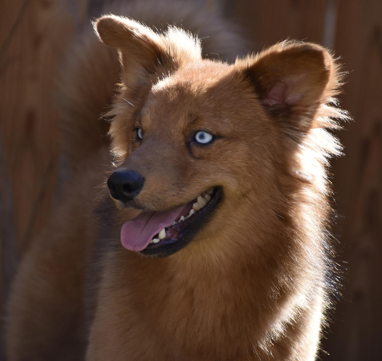 Todd — thumbnail 3