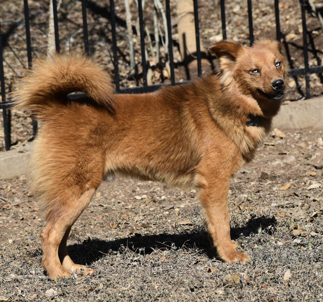 Todd — thumbnail 4