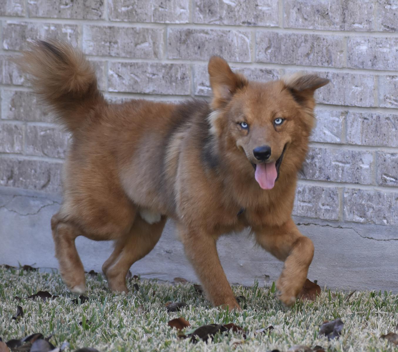 Todd — thumbnail 5