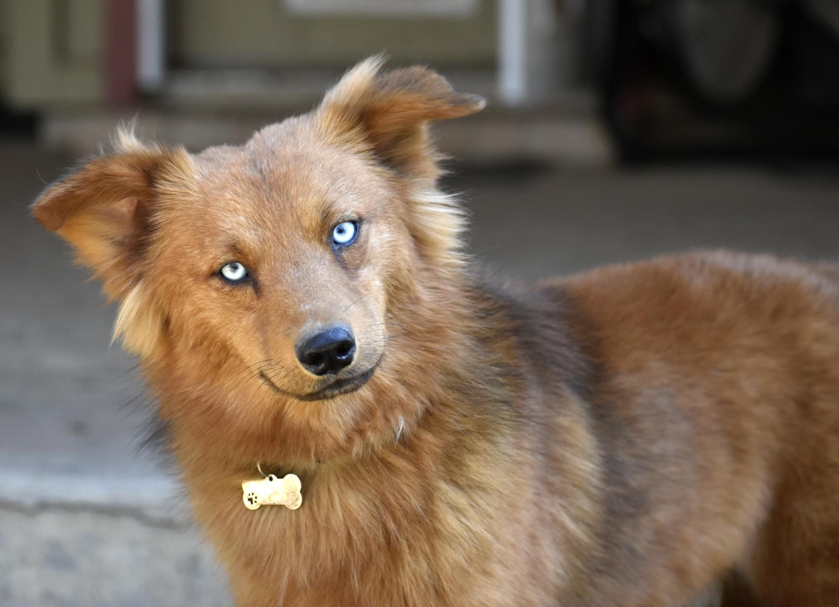 Todd — thumbnail 6