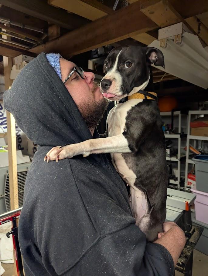 Enlarge Lucy, a Adoptable mixed breed in INDIANAPOLIS, IN image 4/6