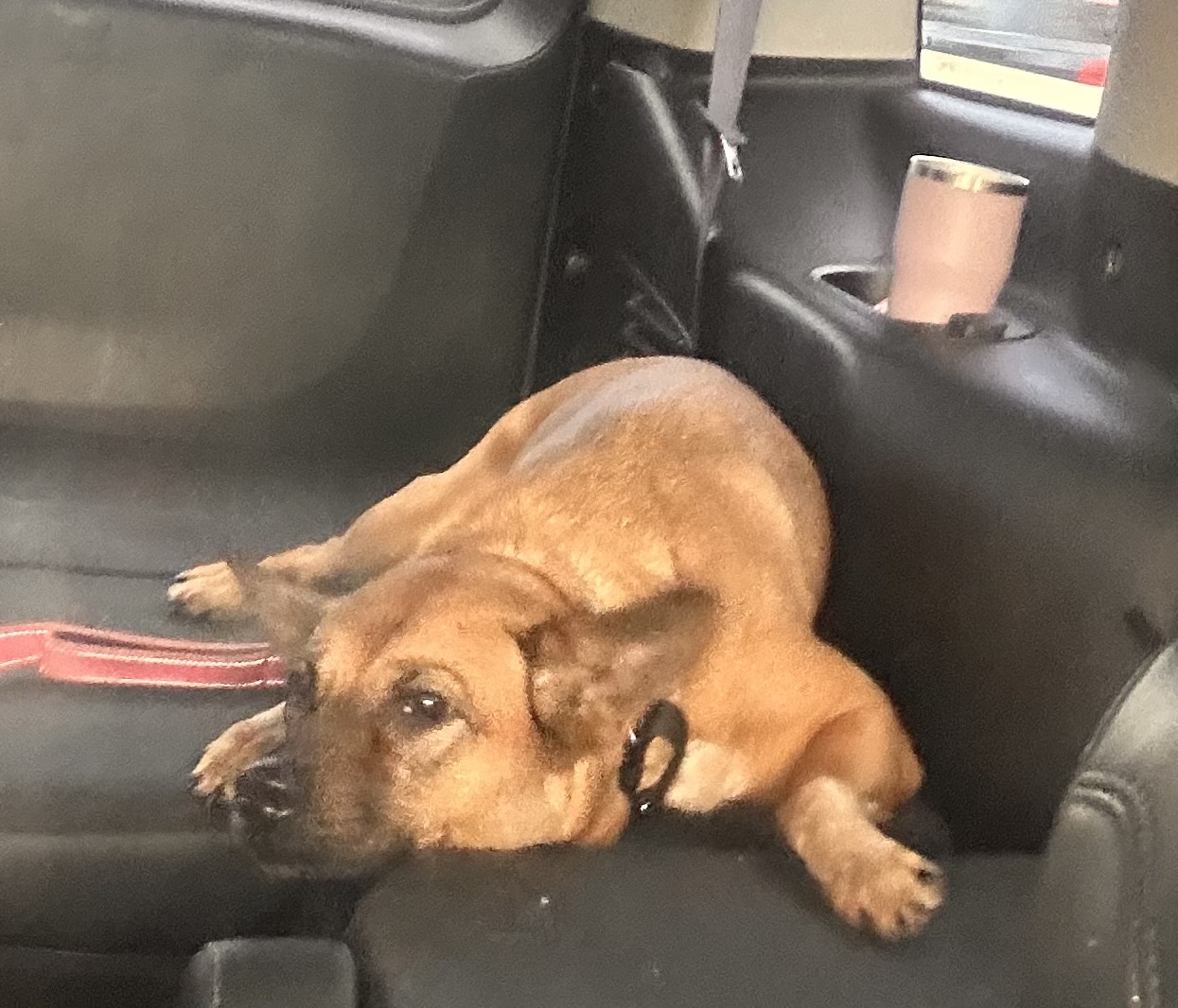 Emma May — thumbnail 3