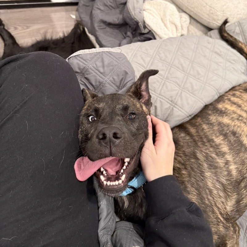 Baby Bear Kissy — thumbnail 3