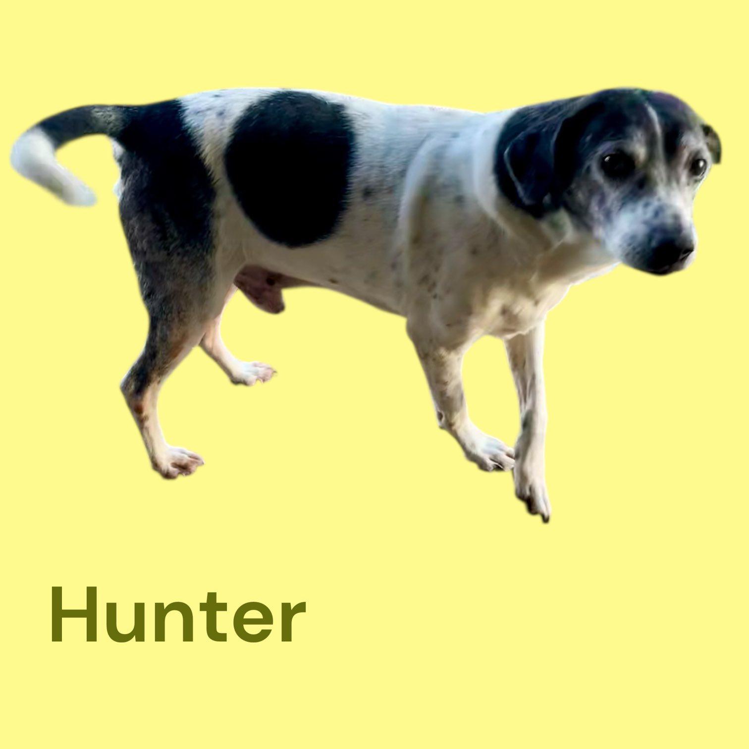 Hunter - All around AWESOME dude! — thumbnail 3