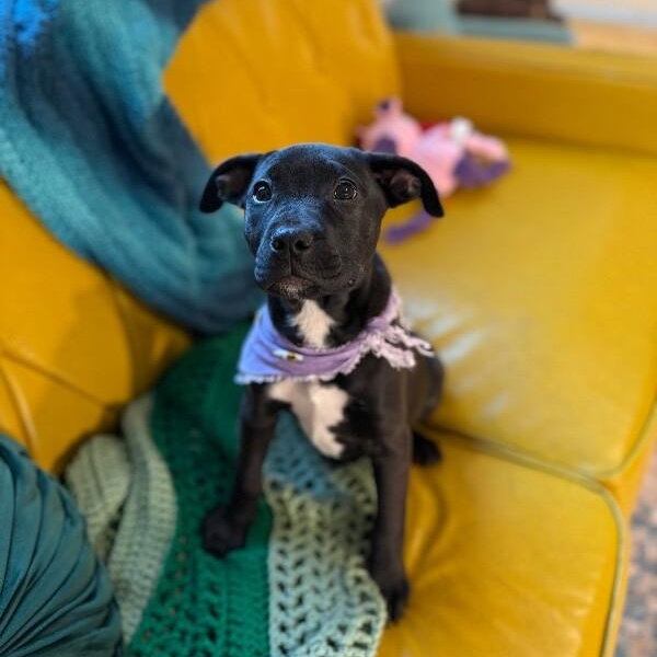 Alaska State — thumbnail 2