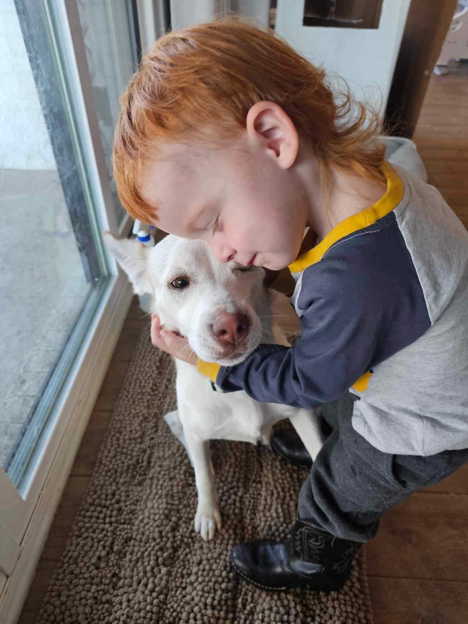 Dog for adoption Daisy, a Mixed Breed in Howe, IN Petfinder