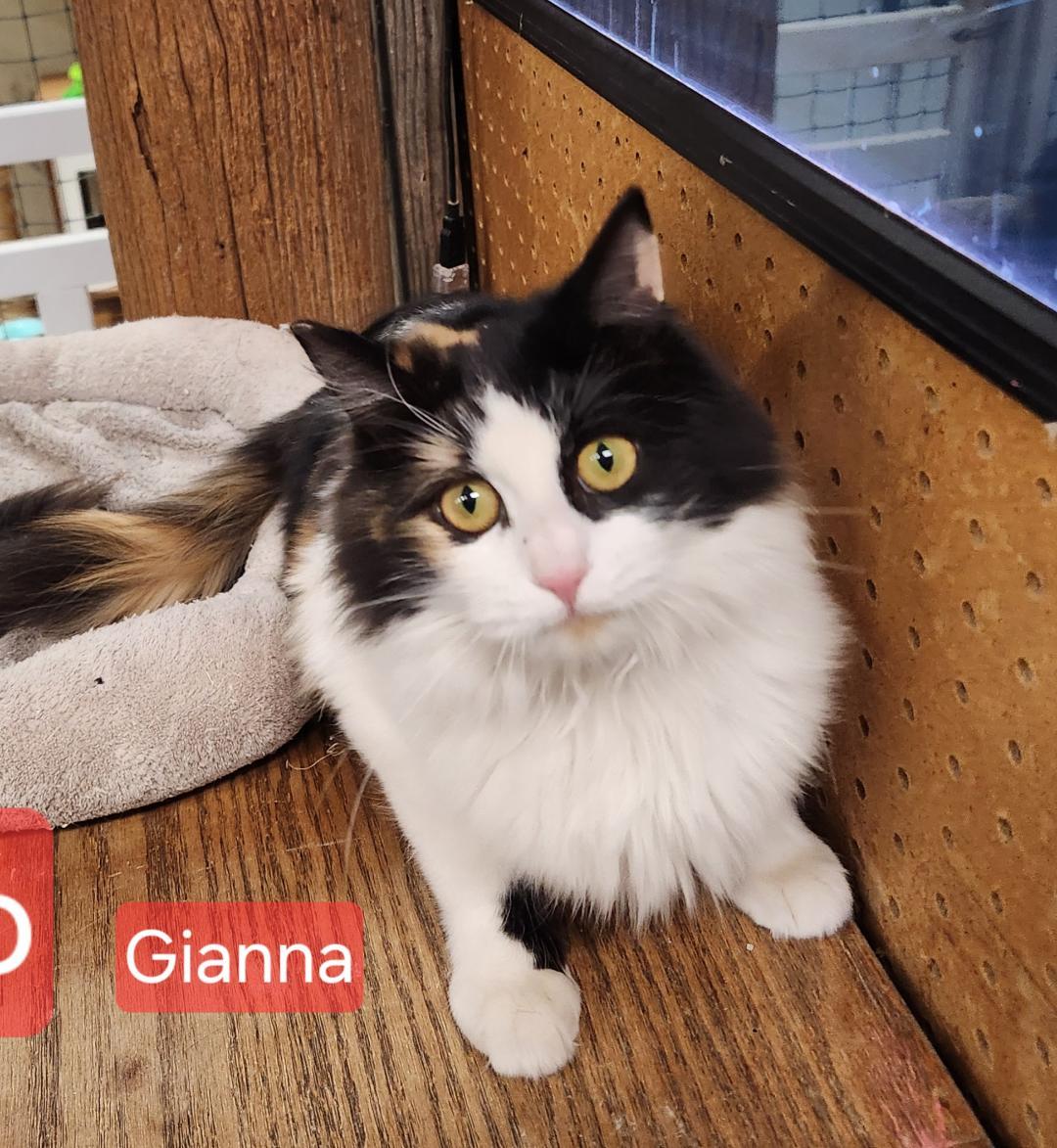 Gianna thumbnail 2