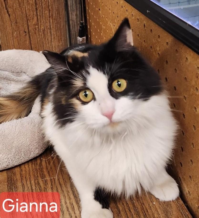 Gianna