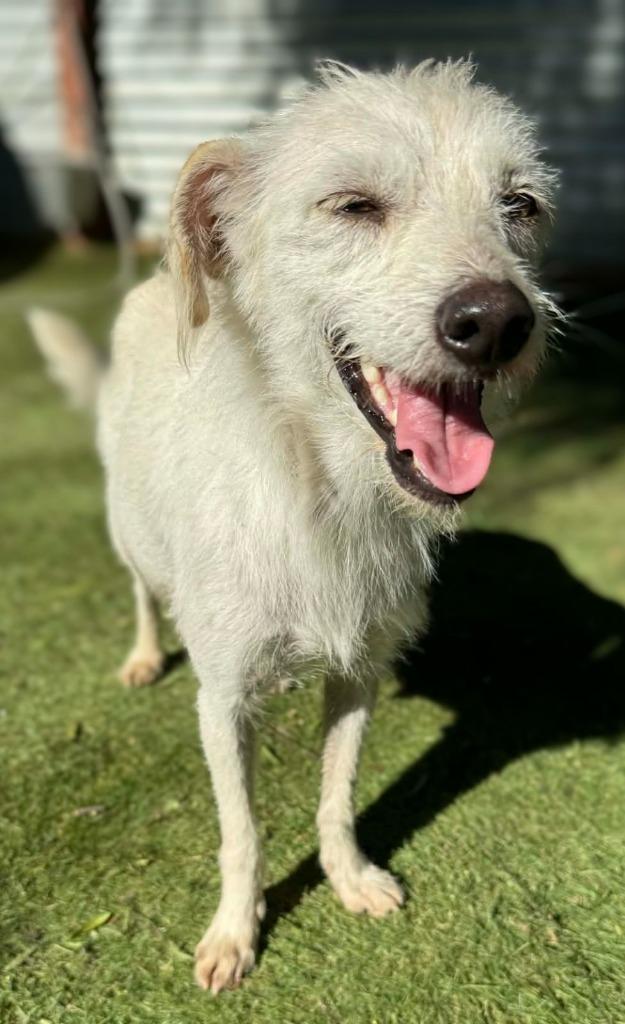 Queen Amphitrite thumbnail 3