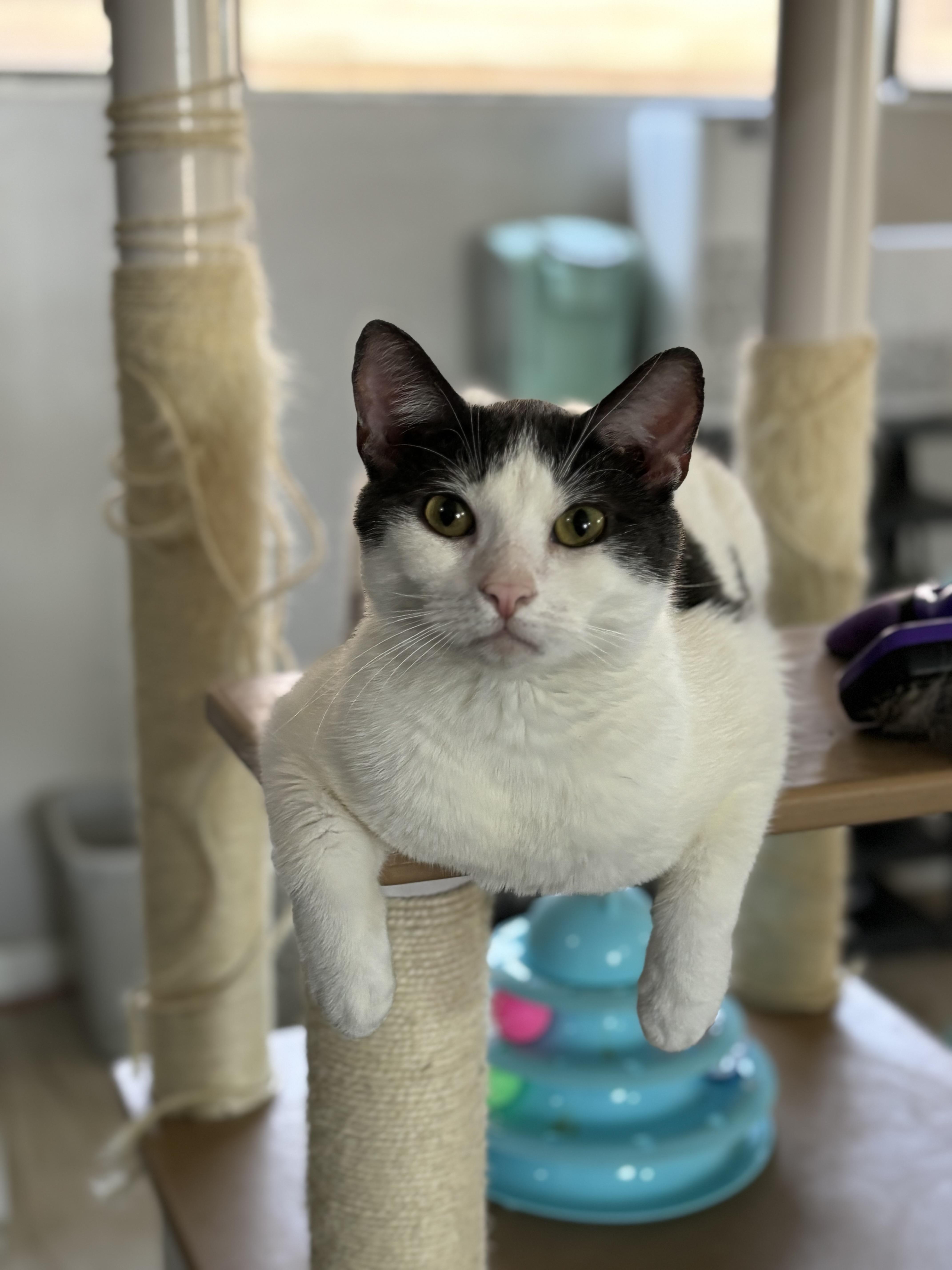 Ben