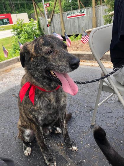 Nino — thumbnail 3