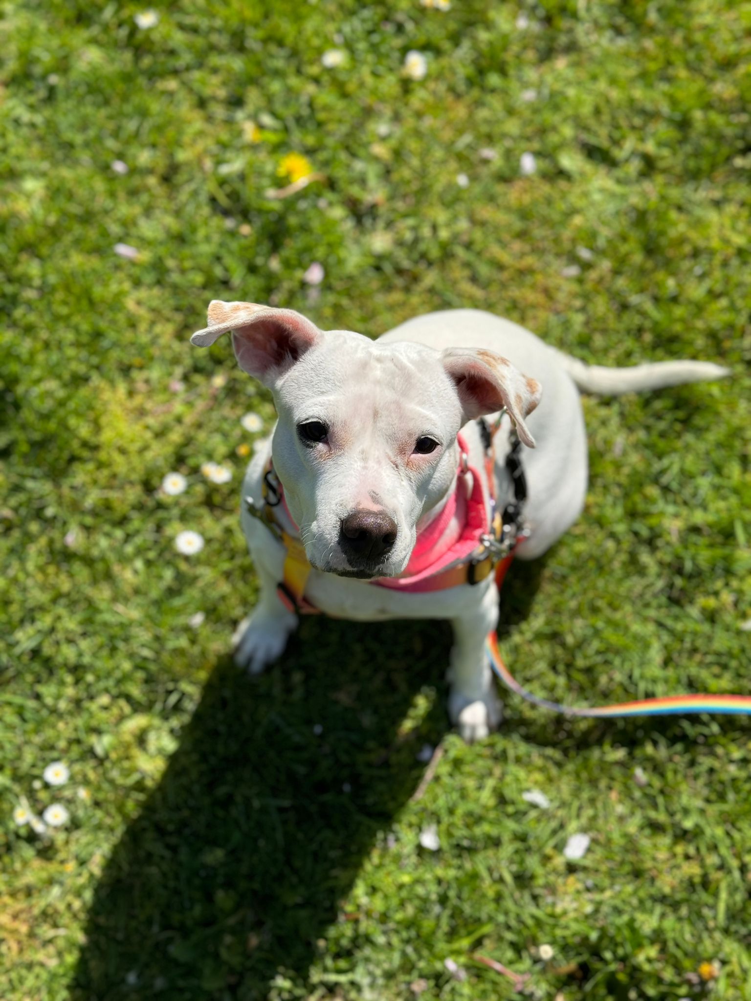 Betty photo 2