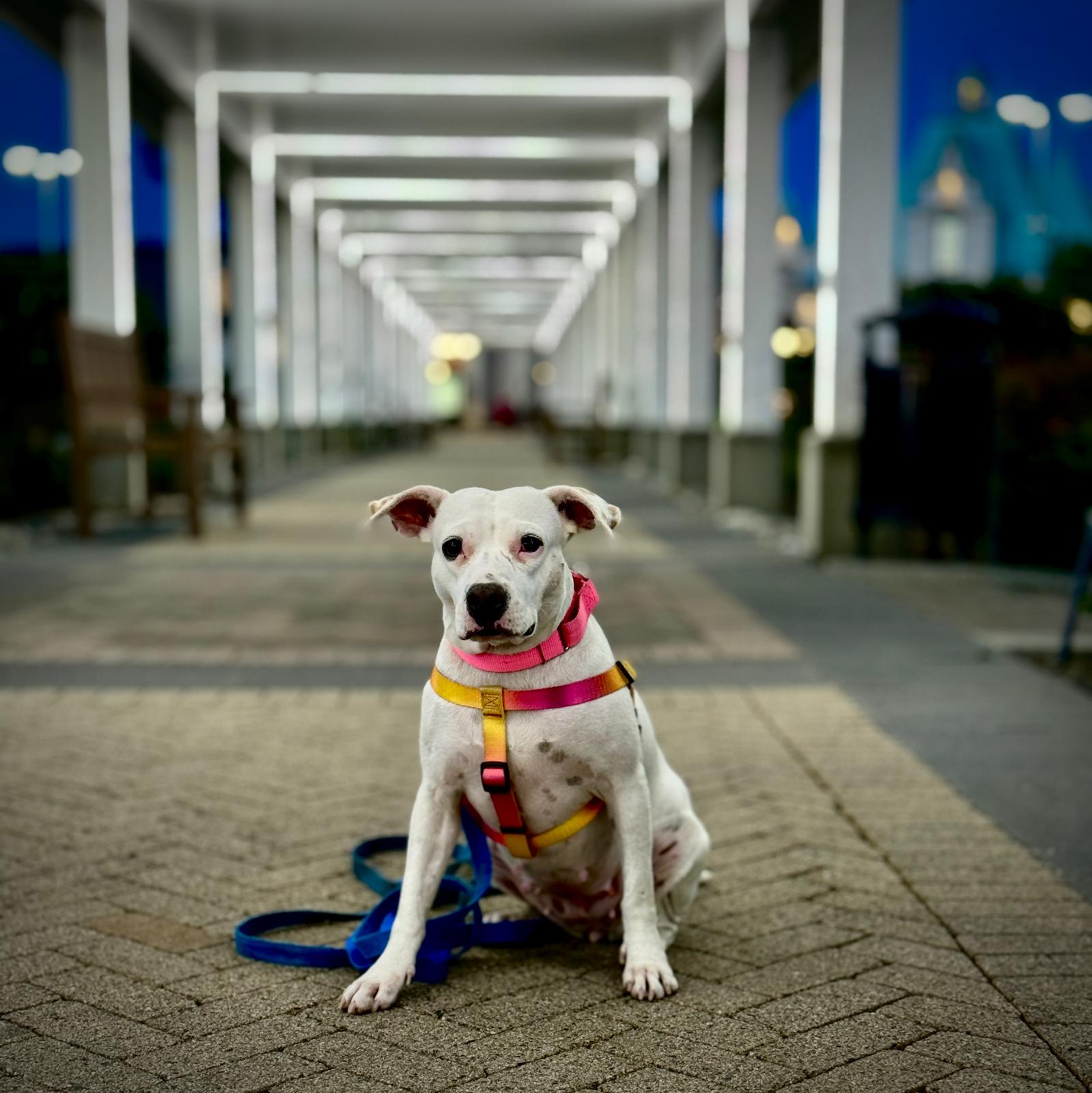 Betty photo 3