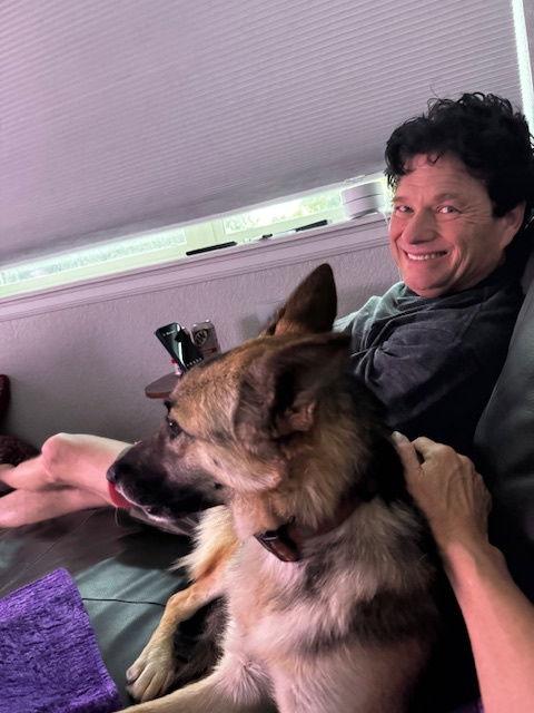 Ashe, a Adoptable German Shepherd Dog in Lakewood, CO image 2/3