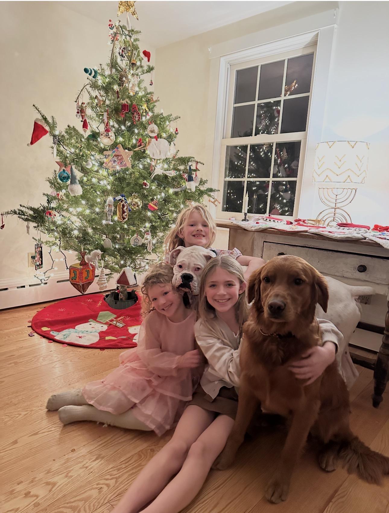 Enlarge Buster, a ADOPTABLE Boxer in Douglas, MA image 2/5