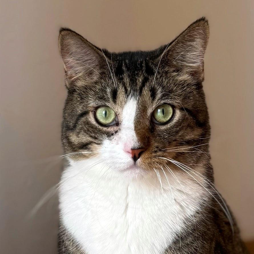 Ferdinand