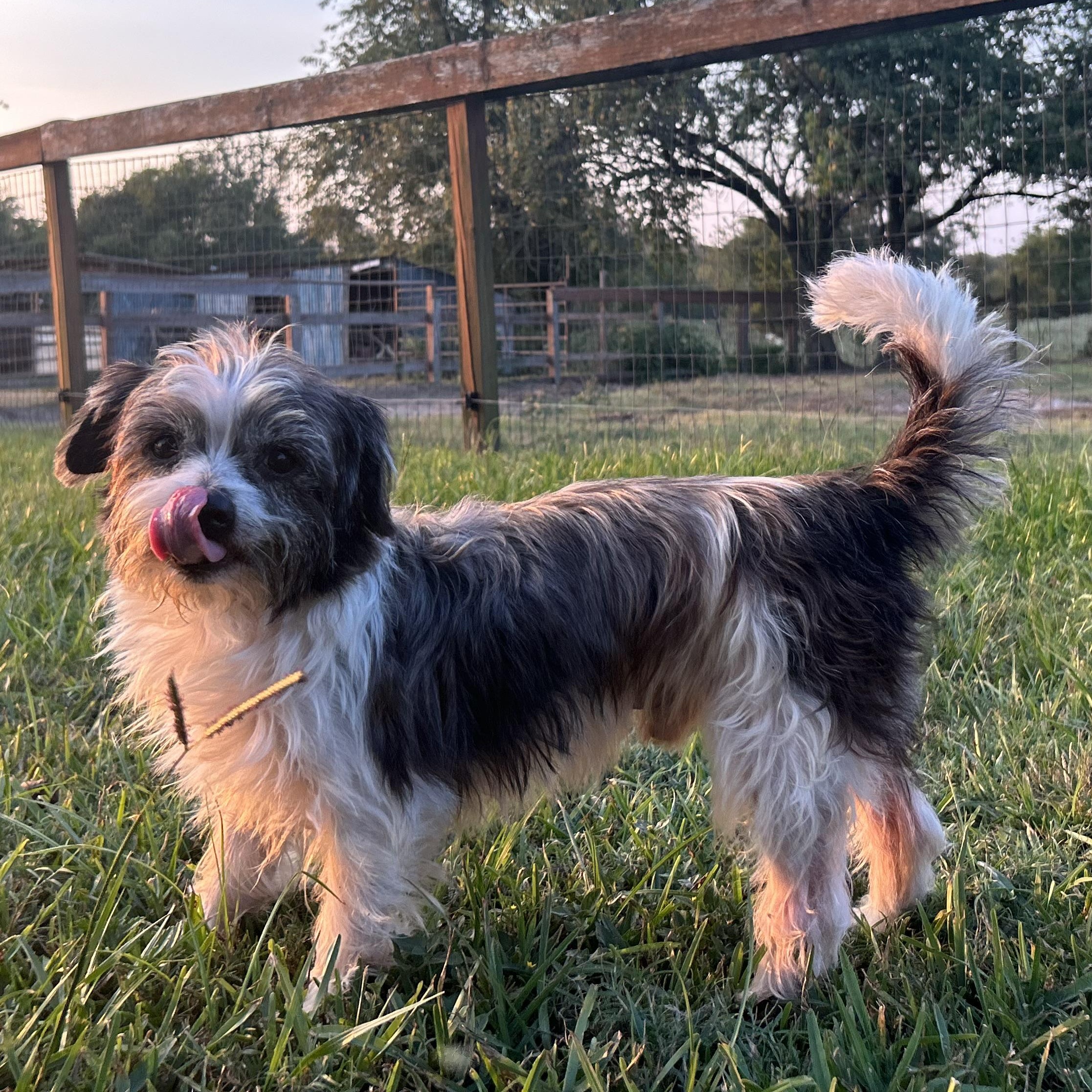 Logan **WARNING: CUTENESS OVERLOAD**