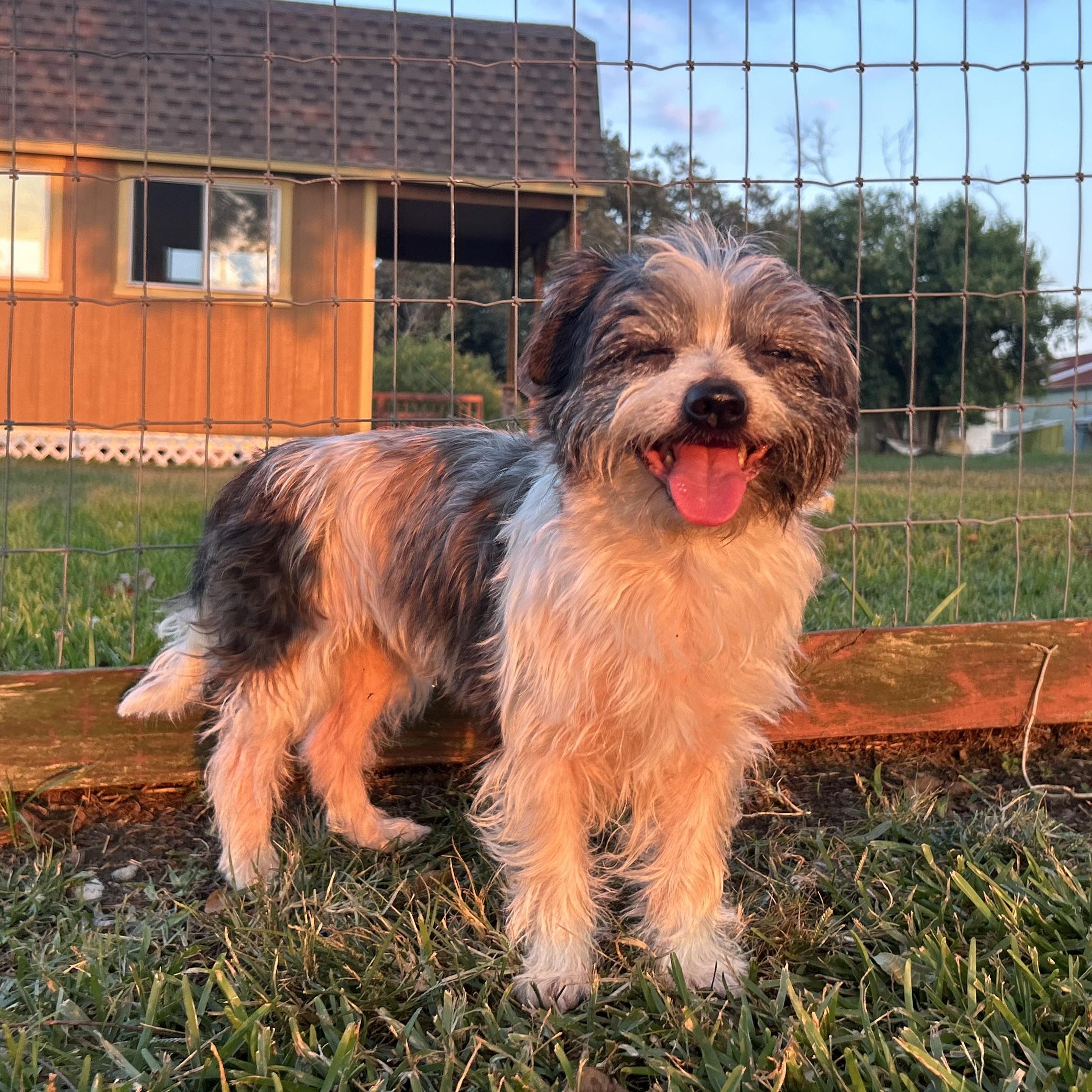 Logan **WARNING: CUTENESS OVERLOAD**