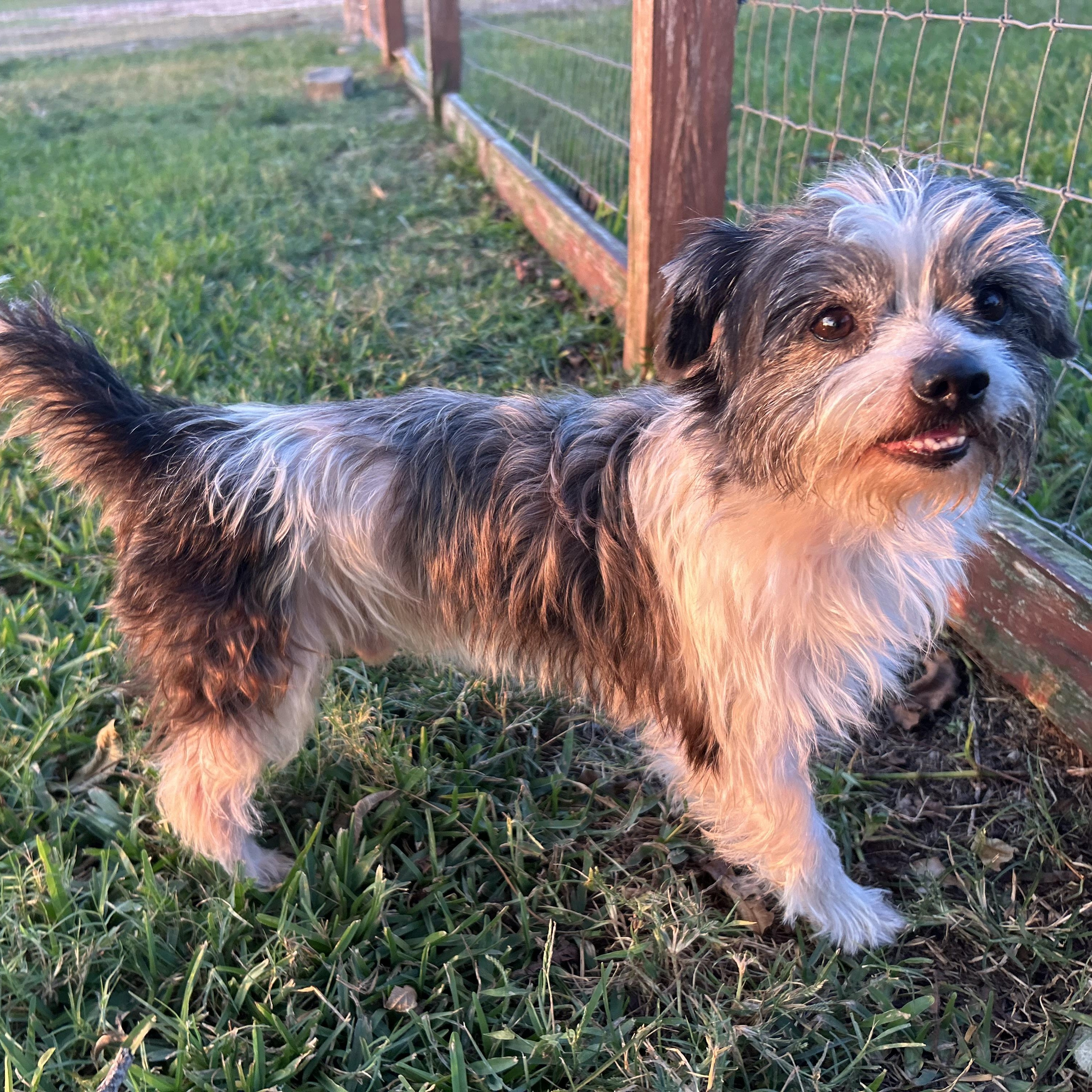Logan **WARNING: CUTENESS OVERLOAD**