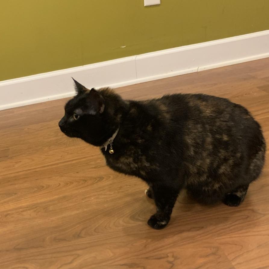 Eemo — thumbnail 3