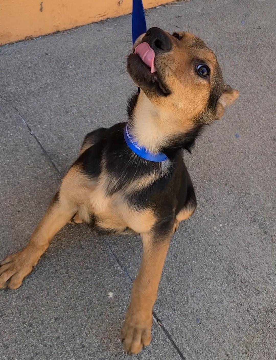 Coco 3