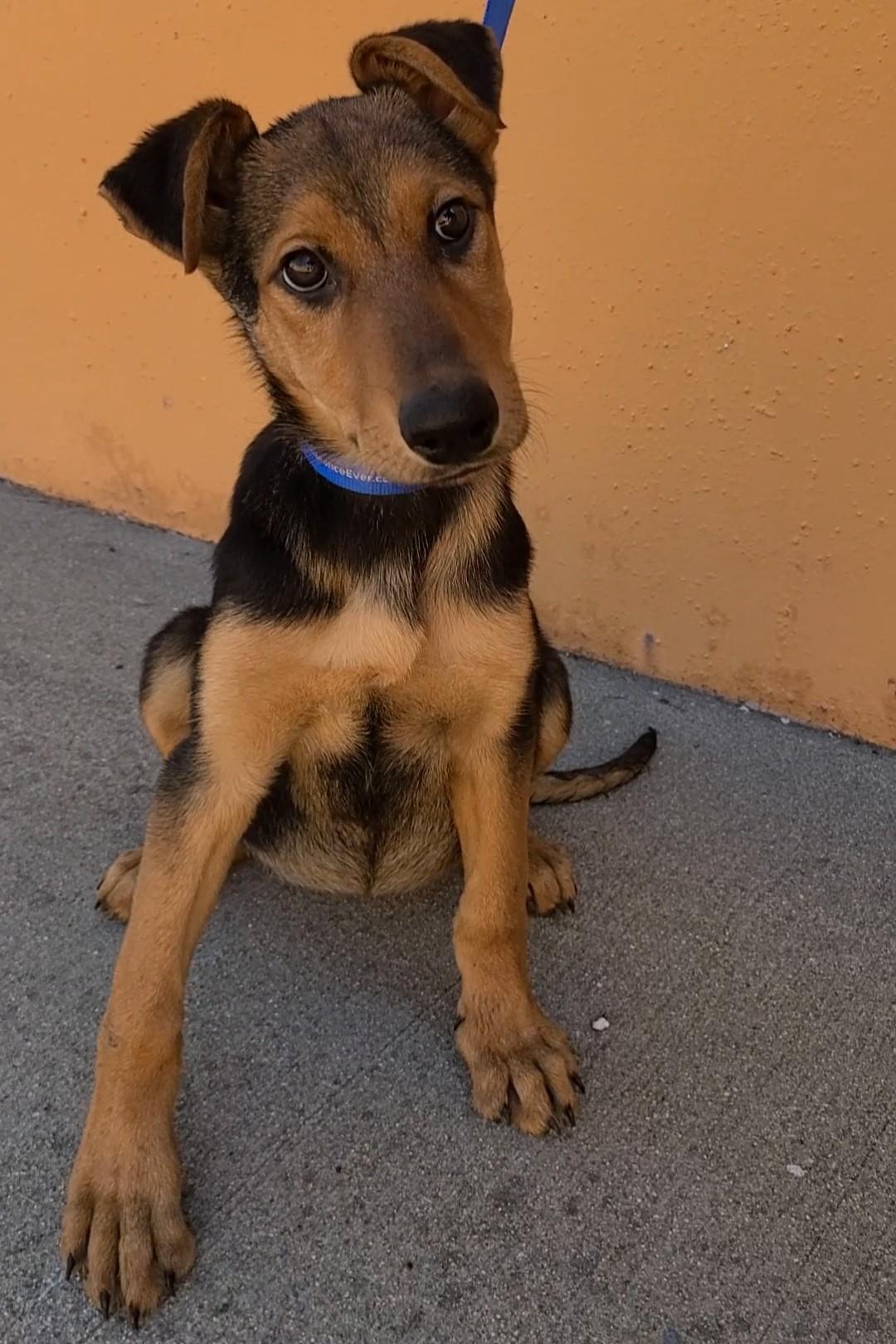 Coco 2