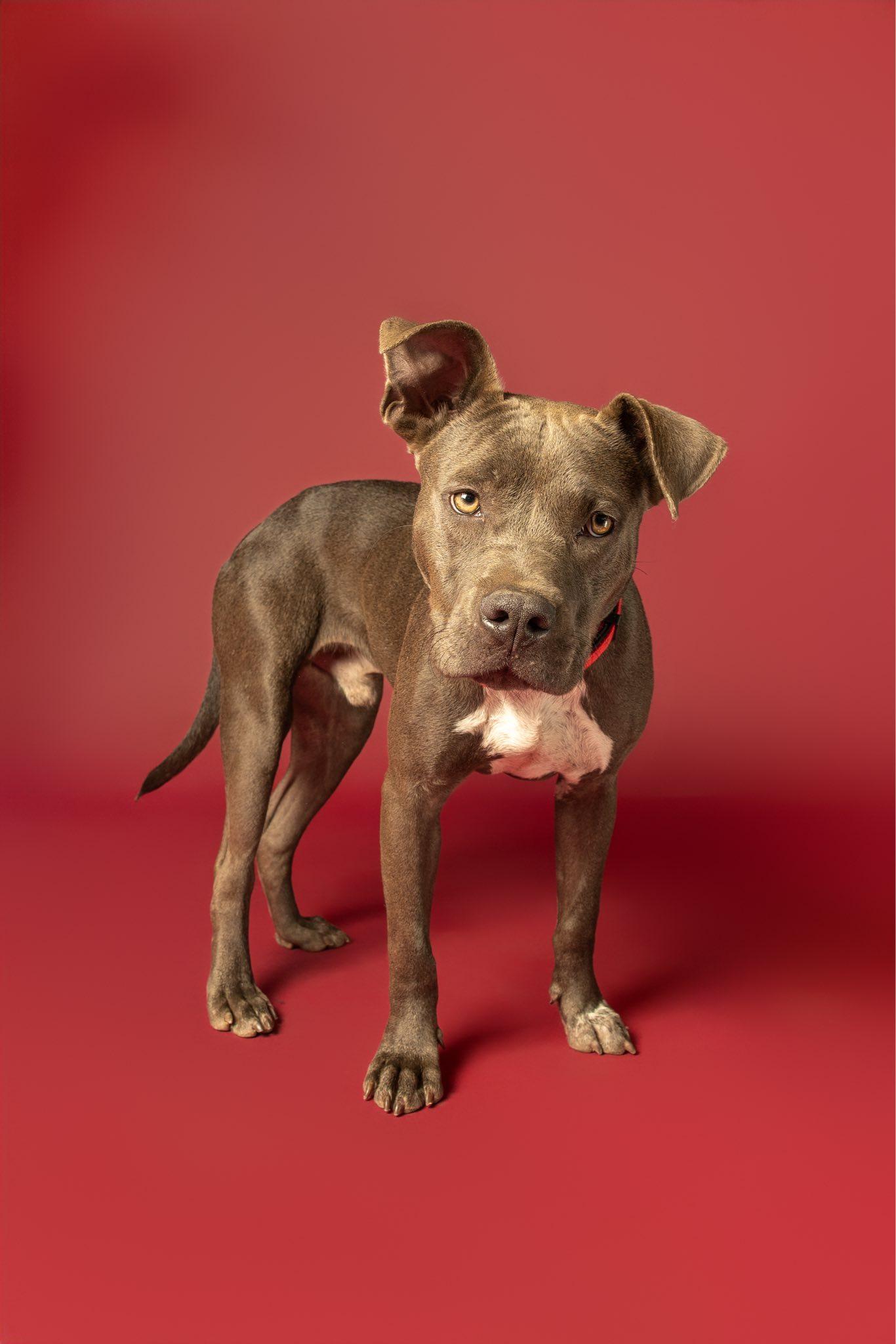 Redford — thumbnail 2